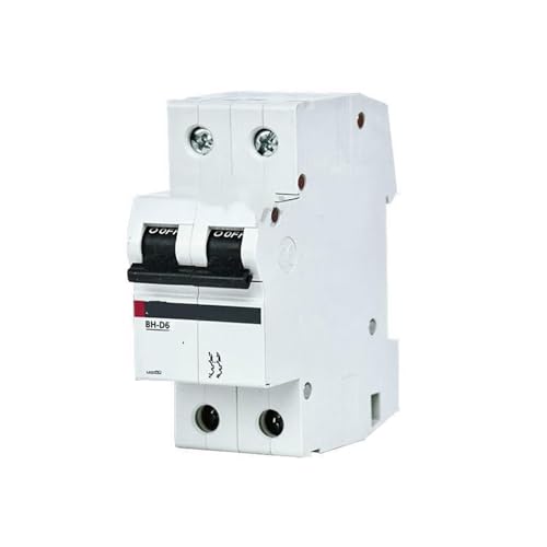 Disjoncteur miniature BH-D10 2P 10A TYPE CN CH évite les surcharges de ligne