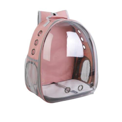 Brfveob ybgL[obO LL[ Lp FDJvZ^ bNTbN sybgobO  o ʋC e ϋv S ܂肽 pbht (sN)