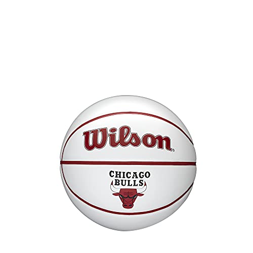 Image of WILSON NBA Team Autograph Mini Basketball - Chicago Bulls