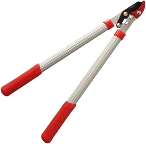 ~j} pCv }؂oT~͐؂ȗ̓Jbg|p}؂oT~ [sAi]