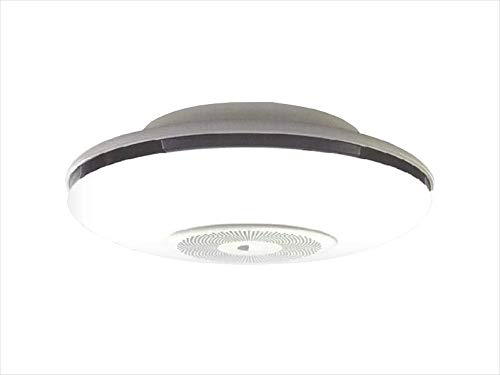 Amazon | L&AIR LEDシーリングライト付天井設置型空気清浄機 SEC-ACL02