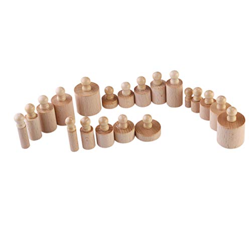 Toyvian 1 Conjunto de 4 Peças Montessori Brinquedo Educacional de Madeira Montessori Cilindro Soquet