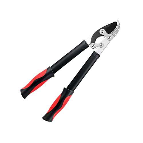 Best Pruning Cutter of 2025: Detailed Reviews and Buyer’s Guide