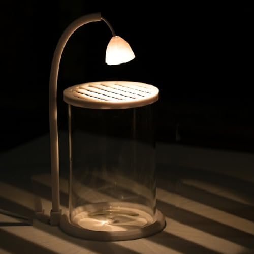 Tyoksi k͔|^N ANAE tA e ~jAKXe KX^N fXNgbvi (2)