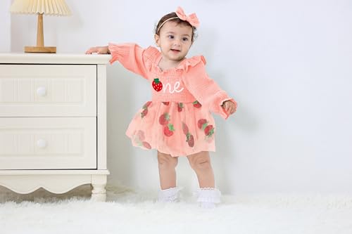 Baby Girl 1st Birthday Clothes One Year Old Tulle Romper Long Sleeve Bodysuit Cake Smash Outfits