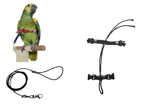 Arnés para loros amazonas que evita escapes con dos conexiones y elástico de 3 mm 2