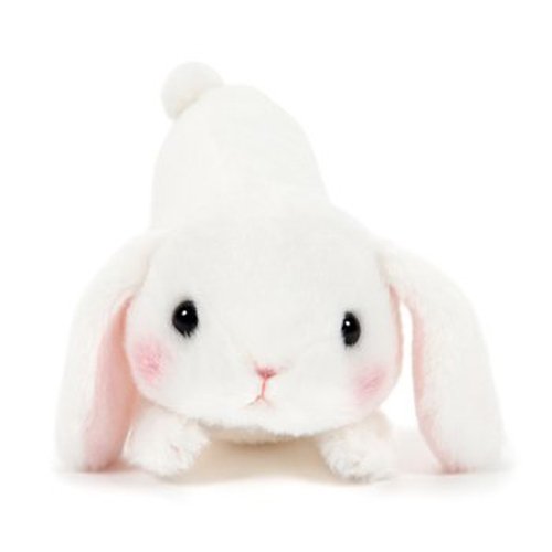 Amuse 252577A White Rabbit Shiloppy Poteusa Loppy Long Squeaky