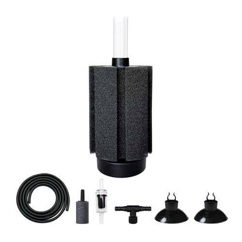 DVHEY ANAE X|WtB^[A10K oCIX|WtB^[ GAXg[ɐB Fry Betta Vv tBbV^Np 10-30-50K