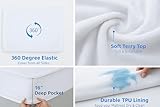 Full Extra Long Mattress Protector, 100% Terry Cotton, 1 Pc Fitted Style Full XL Mattress Cover,15 Inch Deep (Full XL) - Image 6