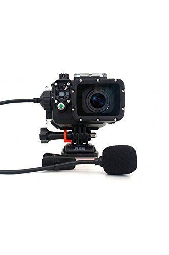 AEE Technology T45 Professional Extended Microphone for AEE Action Camera & Waterproof Housing (Black) [���s�A���i]