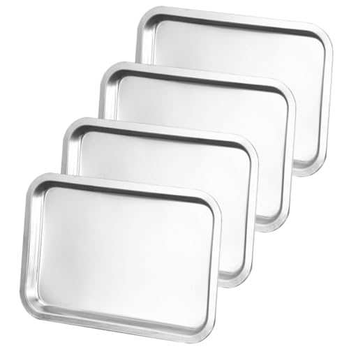 GRIRIW 4pcs Stainless Steel Plates Dinner Dishes for Self Feeding for Picnics and Outdoor Camping Dishwasher