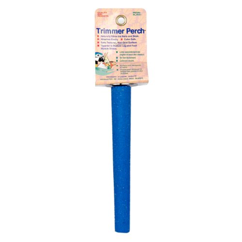 Ciment bird perchoir accessoire cage perruche et canari 17,8 cm - 2
