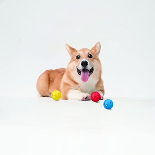 Cat Toys Balls - 12 Pack 42 Mm Dog Toys Balls, Cat Toys For Indoor Cats Balls, Small Balls For Cats Dogs Kitten Pets, Interactive Cat Ball Toy Gifts, Colored Hollow Plastic Golf Balls #TOP4