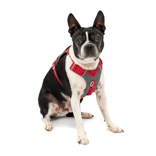 Kurgo Journey Air Hundegeschirr, Mit gepolstertem Brustteil und Rückgriff, Für Hunde von 5-11 kg, Größe S, Rot/Grau