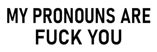 My Pronouns are Fuck You Sticker 3x9 Inch Funny Anti