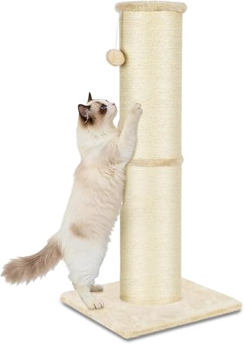 PAWSCRAT Cat Scratching Post 32 Inch High, 5.5 Inch Large Diameter Natural Sisal Cat Scratch Post, Scratch-Resistant and Durable Tall Cat Scratcher for Indoor Cats, Protect Your Furniture, Beige