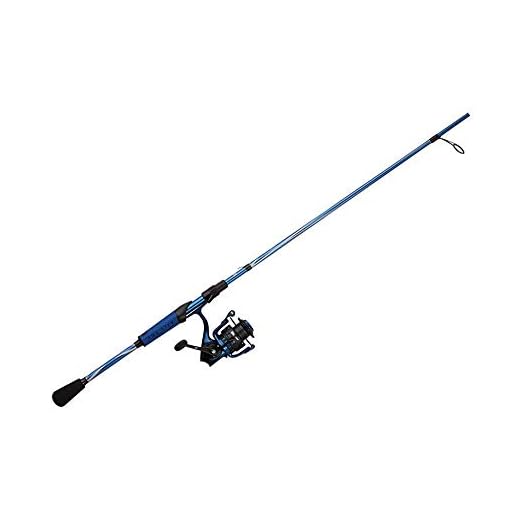 Abu Garcia Revo X Spinning Ruten und Rollen Combo