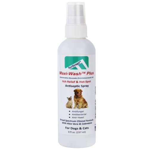 Top 10 Antifungal Spray For Cats of 2022 Katynel
