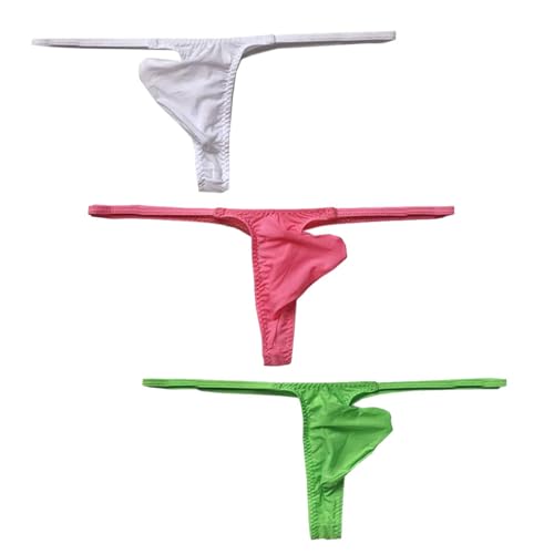 Men's Sexy Low Rise Thong soft Ice Silk Underwear G-String Pouch T-Back Briefs