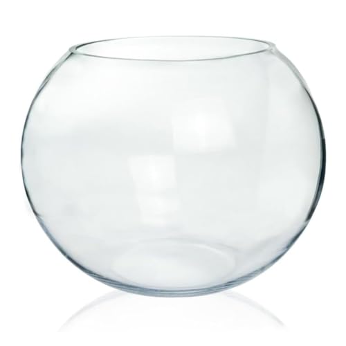 Image of ecofynd Glass Terrarium Bowl, Fish Bowl, Crystal Clear Aquarium Bowl for Fish, Round Bubble Vase for Events, Decorating, Xmas Home Decor, or Office Decor (Pack of 1, 8inch, GB001)
