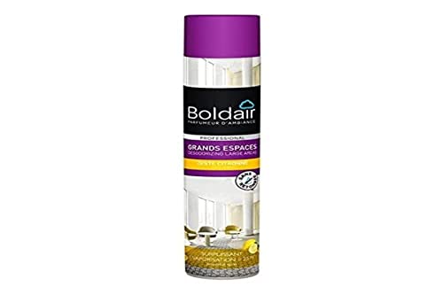 BOLDAIR - Grands espaces Zeste citronné - Destructeur odeur - Pulvérisation sèche - parfum concentré - Vaporisation surpuissante - espaces > 25m2-750 ml - Fabrication française