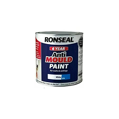 Best Anti Mould Paint UK Reviews (March 2024)