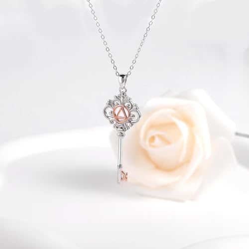 AA Sobriety Necklace for Women - 925 Sterling Silver AA Recovery Pendant Necklace Alcoholics Anonymous Jewelry Gifts for Daughter3