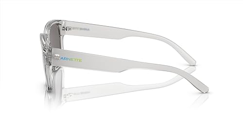 ARNETTE Men's an 4325 Square Sunglasses3