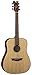 Dean Guitars 6 String Dean AXS Prodigy Acoustic Guitar Pack-Gloss Natural PDY GN PK