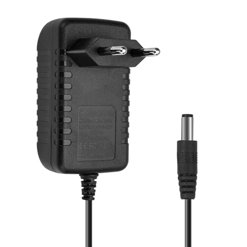 Snowtaros Chargeur de Batterie 21V, Chargeur de Batterie Lithium avec Voyant de Contrôle pour Tronçonneuse Électrique à Batterie Lithium