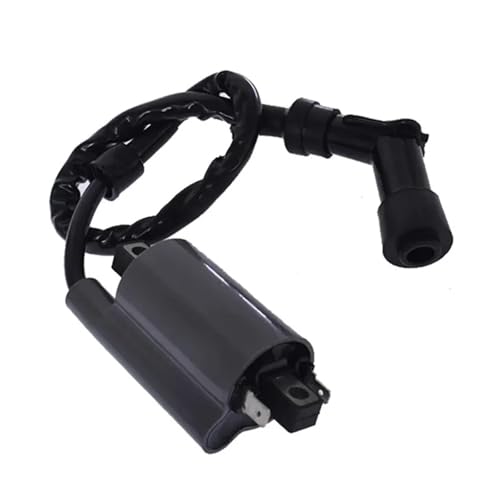 Bobina de encendido para Raptor 700: soluciona los fallos de arranque y tirones de tu ATV 3