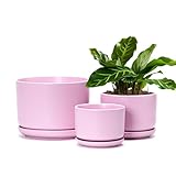 Ton Sin Pink Flower Pots,Ceramic Planter Pot for Indoor Plants,Set of 3 Flower Pot with Drainage Holes and Tray,Cute House Plant Pot for Succulent, Orchid, Cactus(Matte Pink)