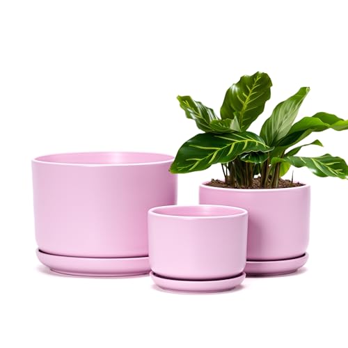 Ton Sin Pink Flower Pots,Ceramic Planter Pot for Indoor Plants,Set of 3 Flower Pot with Drainage Holes and Tray,Cute House Plant Pot for Succulent, Orchid, Cactus(Matte Pink)