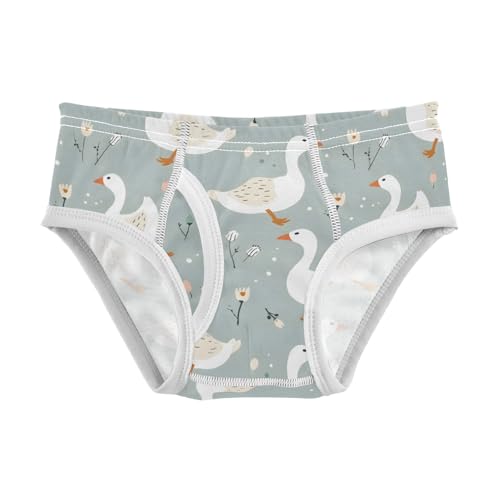 Little Ducks Flower Boys' Underwear 100% Cotton Boys' Briefs Soft Toddler Underwear