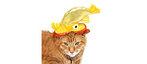 Boots & Barkley for Target Goldfish Cat Dog Pet Costume