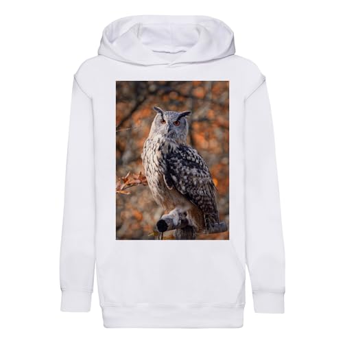 Sweat à capuche enfant hibou pour stopper le coup de froid lors des récréations d'automne