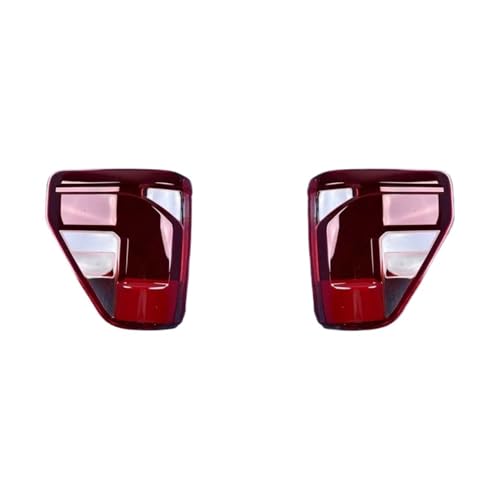 Feux arrière pour Ford F150 Raptor 2024 : coque de protection robuste