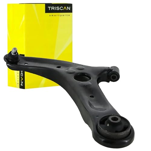Bras de suspension TRISCAN pour HYUNDAI i10 IA 54500B9000