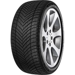 MINERVA 205/55 R17 95W Neumático All Season