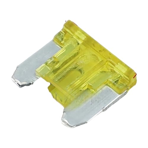 Mini fuse 20A 10pcs de rechange pour boîtier fusible de voiture moyenne taille