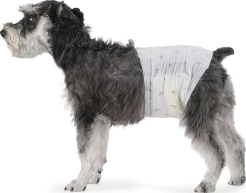 Amazon Basics Hundewindel für Rüden, Einwegwindeln, Größe M, Weiß, 30 Stück