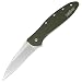 Kershaw Leek Pocket Knife, Olive Drab (1660OL) 3" Bead-Blasted Sandvik 14C28N Steel Blade, Olive Drab Anodized Aluminum Handle with SpeedSafe Assisted Opening, Liner Lock, Tip-Lock Slider; 2.4 OZ.