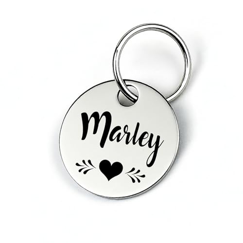 GOLDEN PAW Hundemarke mit Gravur personalisiert, Namensschild mit Telefonnummer, Adresse für Halsband - robuste Tiermarke aus Edelstahl, Dog Tag, Anhänger für Hunde, Katzen, Pferde & Welpen | Silber