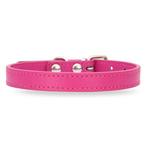 [LaLUCA GOODS]   L    X^_[h PU U[ Vv ^ ^ hbO U Jt _[NsNiȂj XL