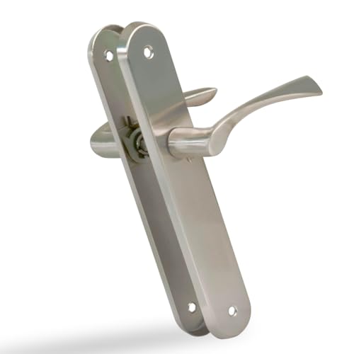 Amig - Juego de 2 Manillas Plateadas de Placa Ovalada de Acero y Tirador de Zamak con Acabado Cromado Mate para Puertas de...