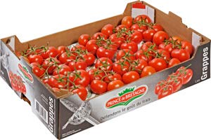 Strauchtomaten aus Frankreich 10 kg Karton