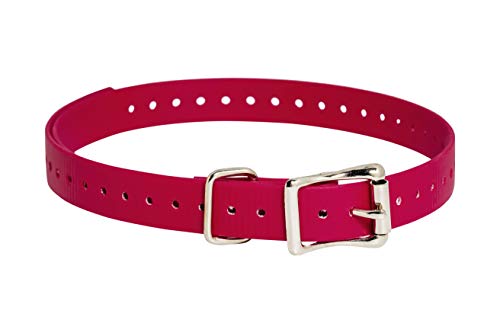 SportDOG Brand 3/4 Inch Collar Straps - Waterproof and Rustproof - Tighlty Spaced Holes for Proper Fit - Red