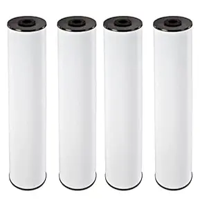 Pentair Pentek RFFE20-BB Big Blue Water Filter, 20-Inch, Whole House Radial Flow Iron Reduction Replacement Cartridge, 20