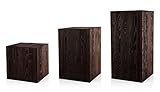 UTILISATION POLYVALENTE : Idéale comme décoration pour les salons, bureaux ou espaces commerciaux, s’adapte à différents styles d’intérieur.