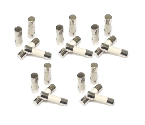 3.15A, T3.15A, 3.15AH250V, 3.15AH, Ceramic Fuse, T3.15A 250V, Slow Breaking Fuse 5 * 20mm /0.19 * 0.78inch (20 Pcs)